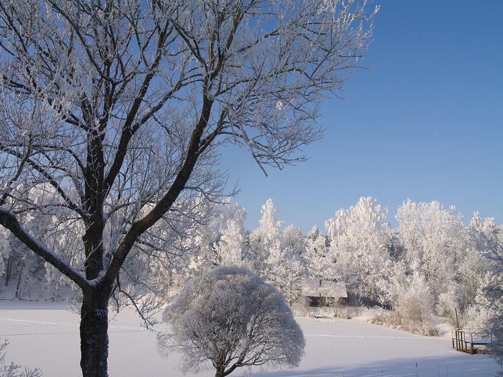 Upmali Tērvete Exterior foto